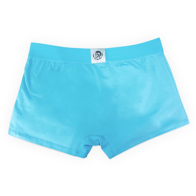 Мужские трусы Diesel голубые DL05